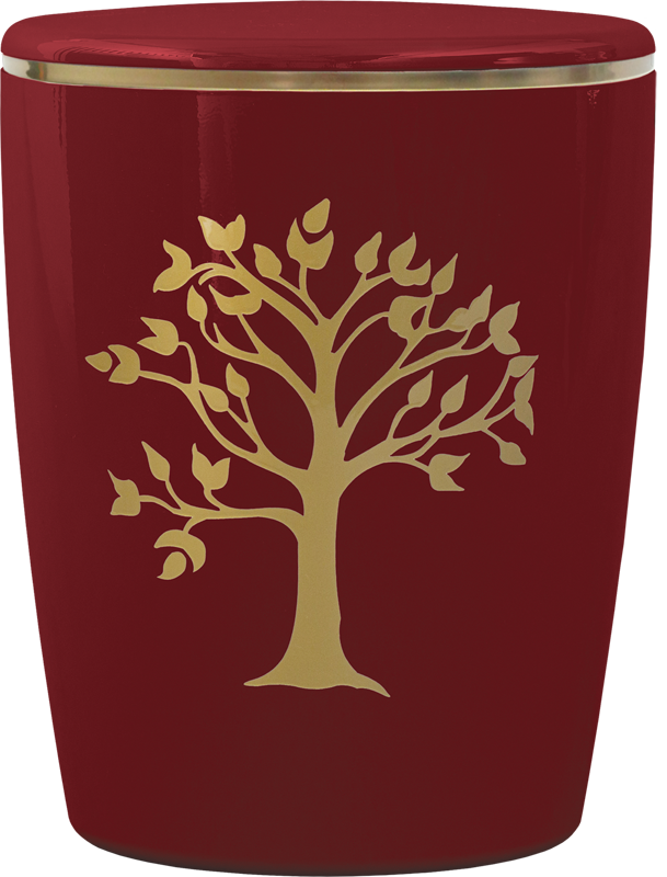 Solid-Line Baum rot