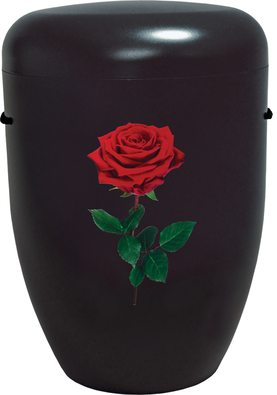 Creativ-Line Rose schwarz